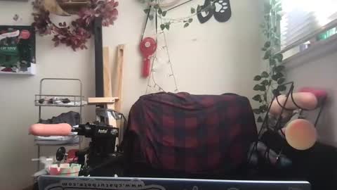 bandit online show from December 26, 3:31 pm