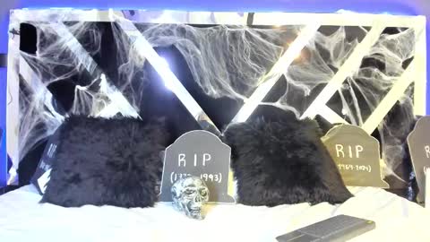 Ali Diaz online show from October 27, 7:22 pm