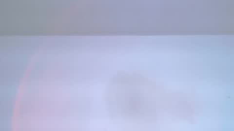     online show from May 19, 1:56 am
