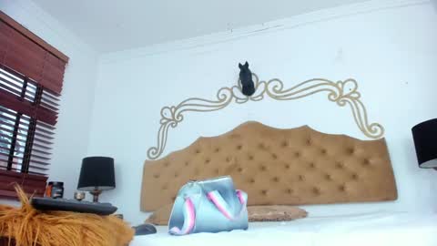 Amber Parisi online show from January 12, 9:40 pm