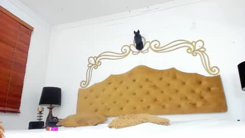 Amber Parisi online show from January 20, 4:45 pm