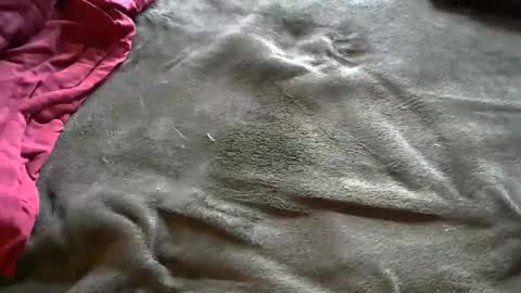 AnxietyOnline online show from February 2, 9:25 pm