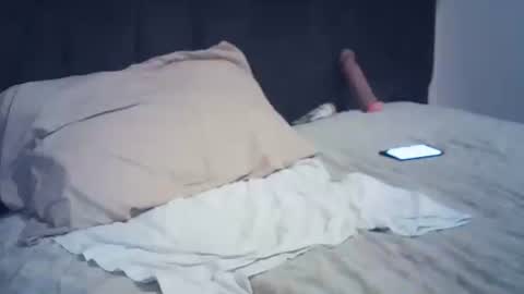 Snapshot of arabtrans2025 chatting on September 22, 6:46 pm arabtrans2025 online show from September 22, 6:46 pm