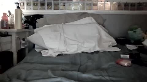 Snapshot of babyrileyyyy chatting on February 4, 7:40 am Riley online show from February 4, 7:40 am