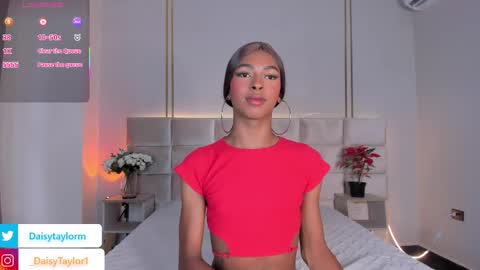 Daisy online show from November 26, 12:40 pm