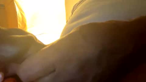 darkandhorney online show from February 24, 8:07 am