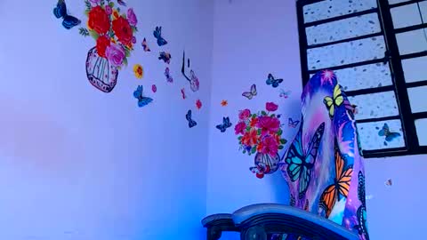 Dasly online show from May 17, 1:27 am