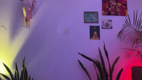 Desidias online show from November 1, 11:57 pm