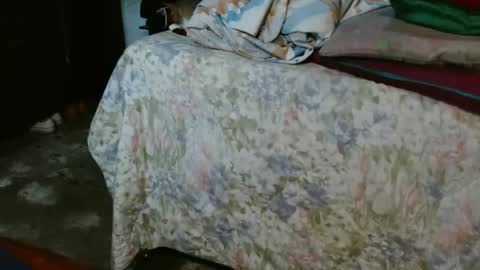 dreamreal online show from October 31, 11:42 am