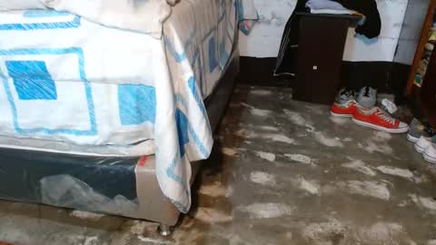 dreamreal online show from January 19, 11:41 am