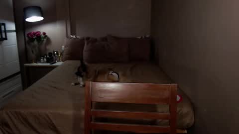 Heaven online show from February 23, 7:33 am