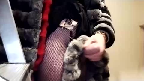 evesimmons online show from October 29, 2:48 pm