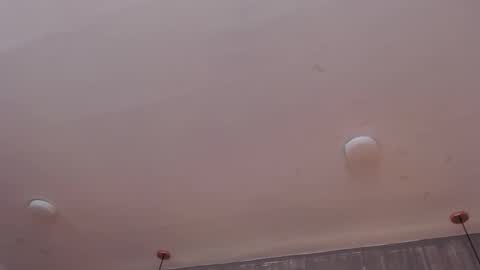 Foxxy  online show from October 27, 11:51 am