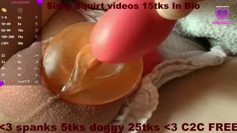 Meadow online show from November 29, 2:41 pm