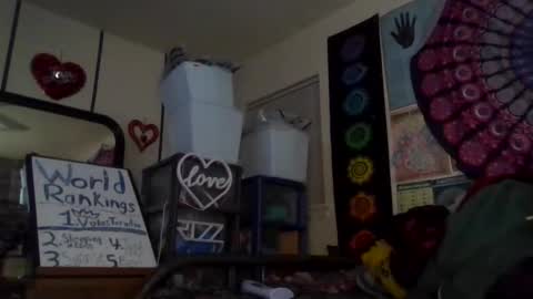 Gardenia online show from February 25, 12:32 pm