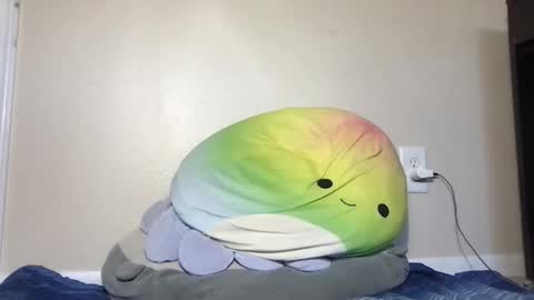 Sky online show from November 16, 4:50 pm