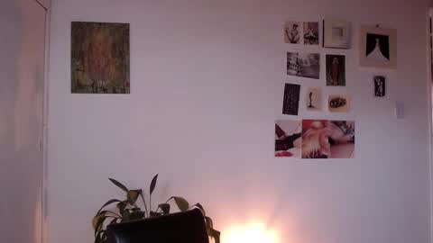 Alaska online show from February 4, 2:00 pm