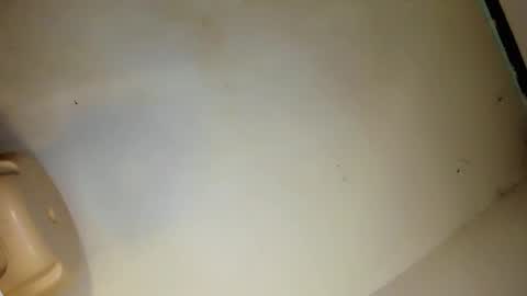 rossy online show from January 7, 2:31 pm