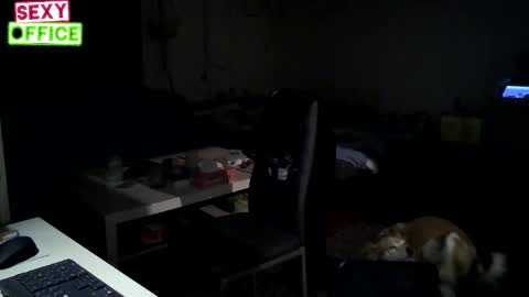 Betty Bellucci online show from February 22, 7:27 pm