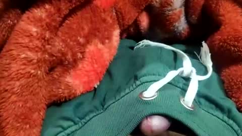 Aay whoosh online show from March 7, 8:49 am