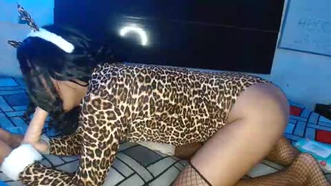 Kata vega25 online show from October 28, 9:51 am