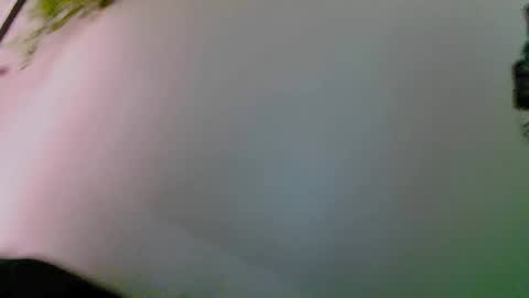 Kelsi  online show from May 14, 12:53 am