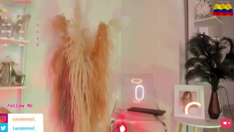 Colorina  online show from November 5, 4:07 pm