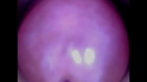 Paula 18 Aninhos online show from December 3, 3:44 am