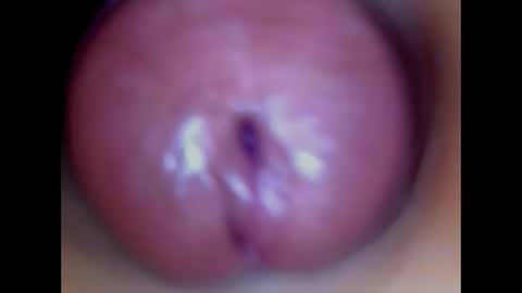 Paula 18 Aninhos online show from May 13, 8:18 pm