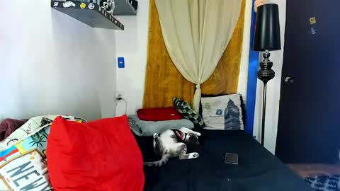  SARAHJEY     online show from May 26, 2:30 am