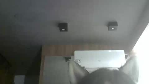 skinnykittencam online show from February 4, 12:37 am