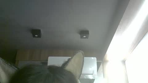 skinnykittencam online show from May 17, 11:10 am