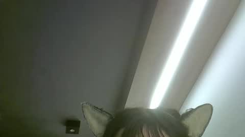 skinnykittencam online show from May 19, 2:18 am