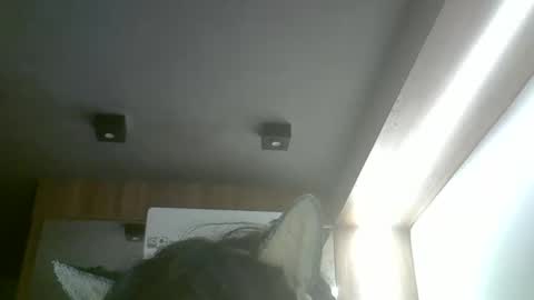 skinnykittencam online show from May 20, 2:29 am