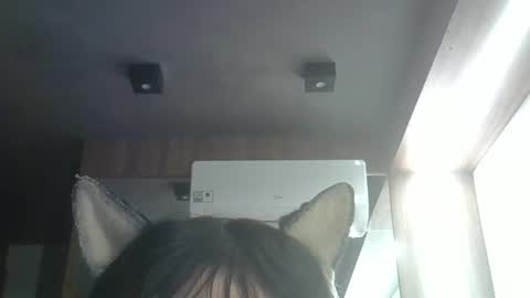 skinnykittencam online show from May 23, 3:30 pm