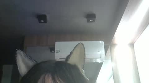 skinnykittencam online show from May 24, 3:53 pm