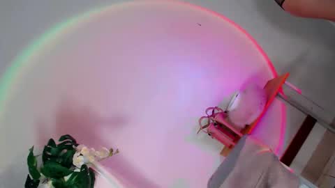 slutnextdoor28 online show from September 17, 7:24 am