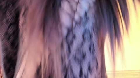 Sophia online show from May 19, 9:32 pm