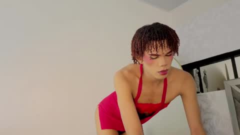 Steicy online show from May 14, 1:10 pm