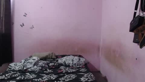 Tiana online show from November 14, 8:28 pm