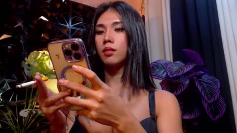 transpornidol online show from November 26, 4:42 pm