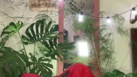   Valentin  independent Cam Boy     online show from March 13, 2:39 am