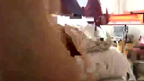 Stonerass online show from October 18, 9:24 am