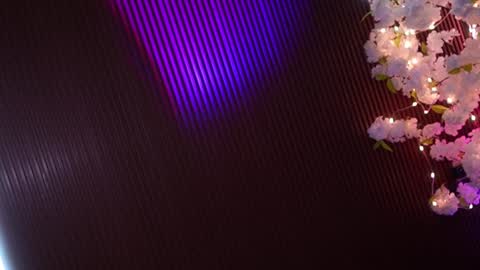 Anne online show from February 7, 3:56 am