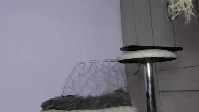 Kendall Hotsexy x online show from May 20, 7:03 am