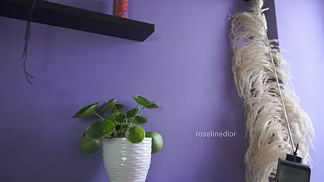 roselinedior online show from May 20, 4:24 pm