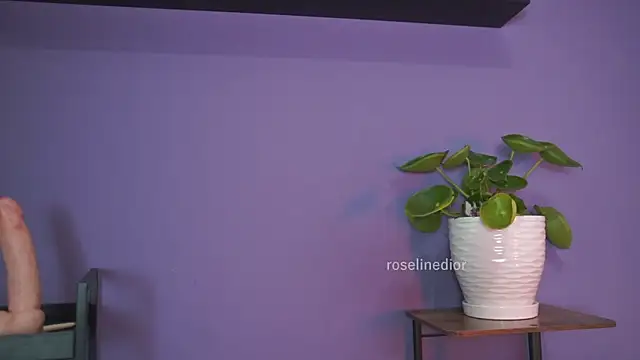 roselinedior online show from May 26, 1:30 pm