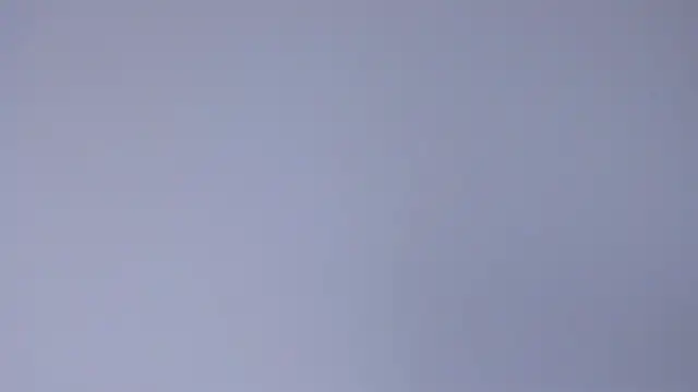 Sophia Cambpell online show from April 21, 9:54 pm