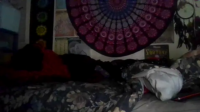 GardeniaFields online show from March 1, 10:21 am