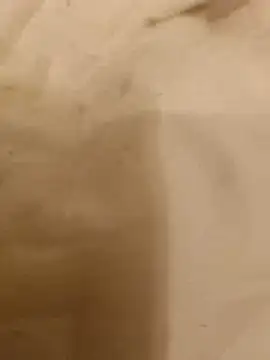 VirginSlaveBttm online show from June 17, 3:07 am